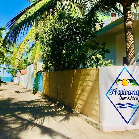 Tropicana Home Stay Arugam Bay Exteriör bild