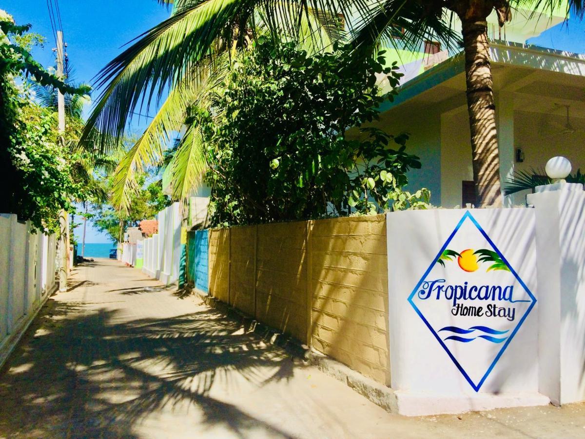 Tropicana Home Stay Arugam Bay Exteriör bild