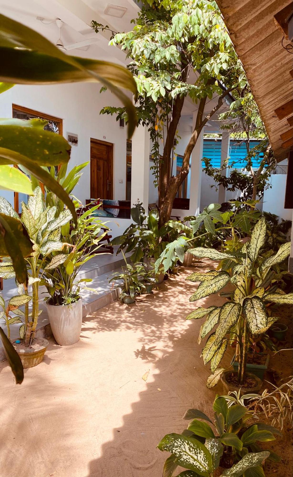 Tropicana Home Stay Arugam Bay Exteriör bild